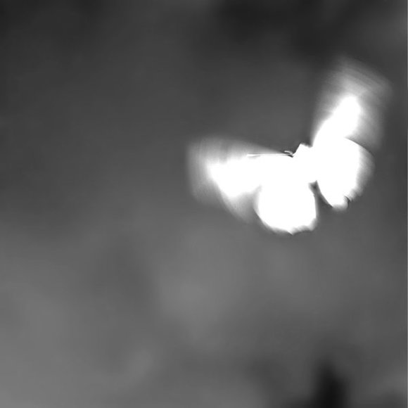 Meet your Posher - Picture 1 of 1